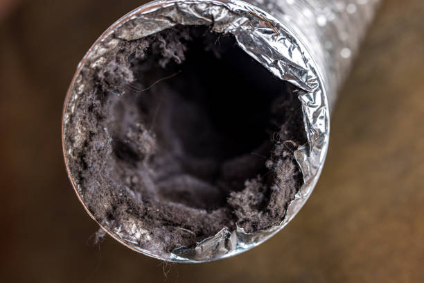 Best Air Vent Cleaning Services  in Cedar Park, TX